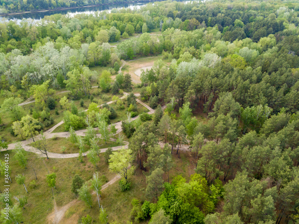 Dirt road in the spring forest. Aerial drone view.