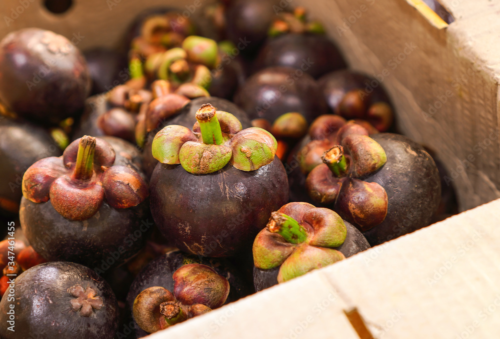 pile of fresh organic mangosteen in cardboard box as packaging for fruit product delivery direct from farmer  ,selective focus