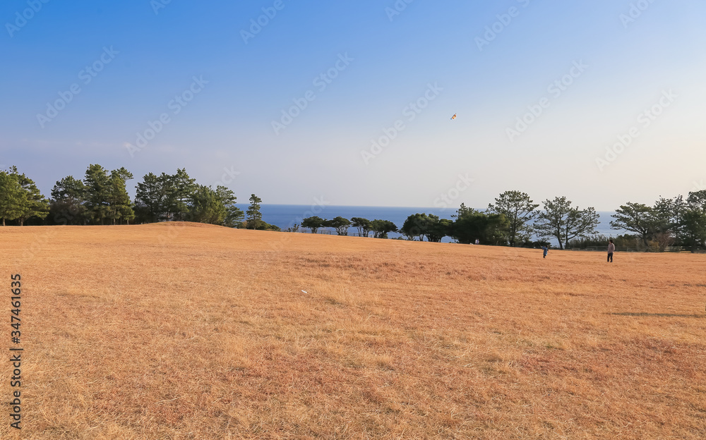 Obraz premium 潮岬 芝生広場