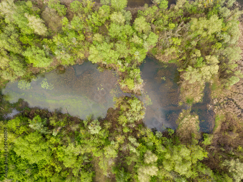 A small lake in a deciduous forest. Clouds are reflected in the water. Aerial drone view.