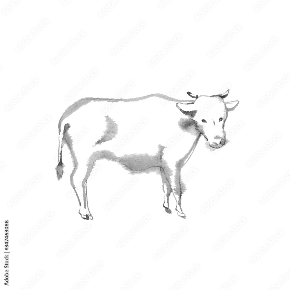 横向きの牛、線描、素材
