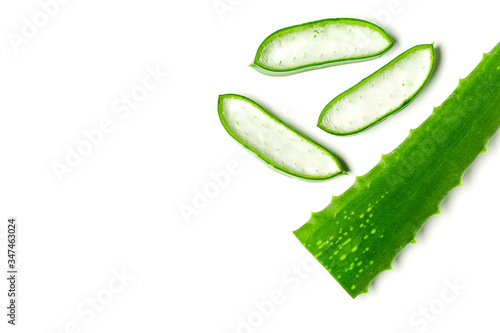Aloe vera essential oil isolated on a white background. Fresh Aloe vera leaves.