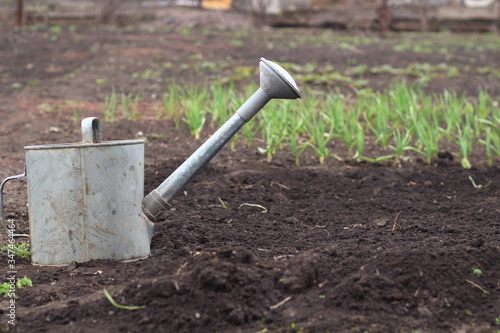 watering the garden, tools for the garden