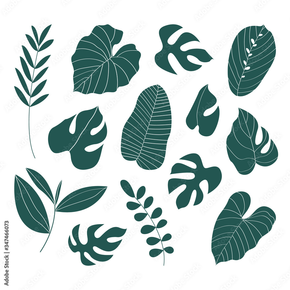 Big vector set of abstract tropical leaves. Cartoon exotic leaves. Perfect for poster, textile, wrapping paper, stickers Big vector set of abstract tropical leaves. Cartoon exotic leaves. Perfect for poster, textile, wrapping paper, stickers