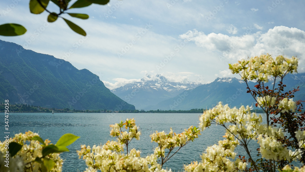 Landscape photography along the lake in Montreux, Switzerland. 