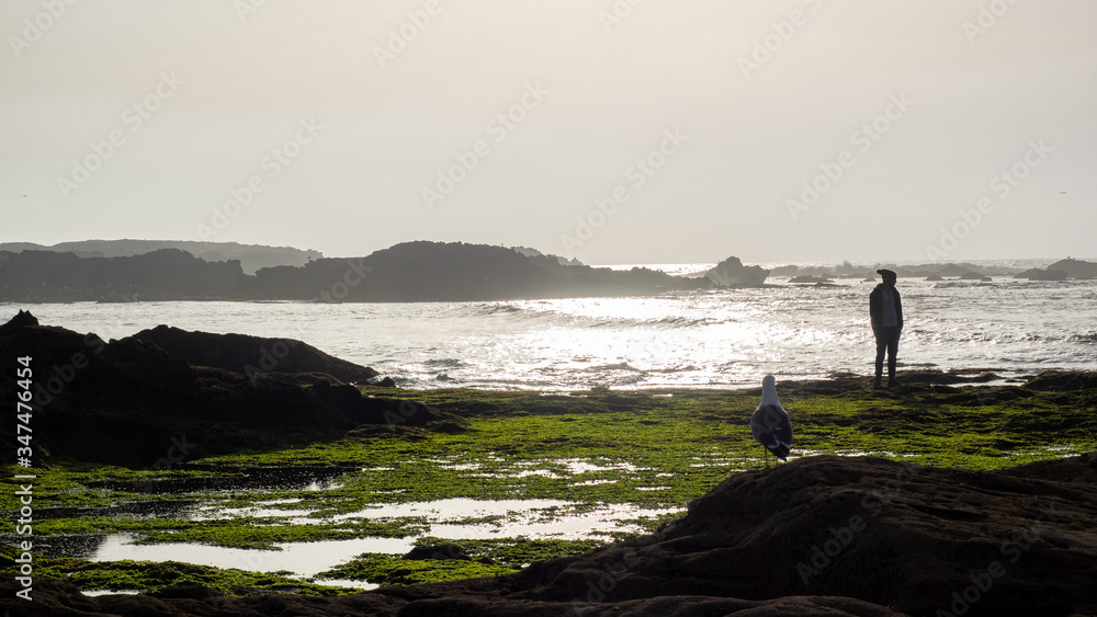 Εκτύπωση καμβά Person standing on the sea weed on the shore