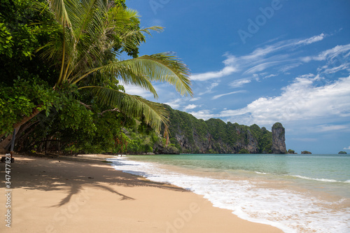 Tropical beach with palm trees and beautiful sea