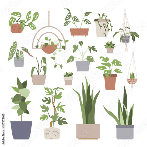 Big set with house plants in flower pots. Home gardening. Hand drawn vector illustration in flat cartoon style. Perfect for poster, sticker, print, card. 