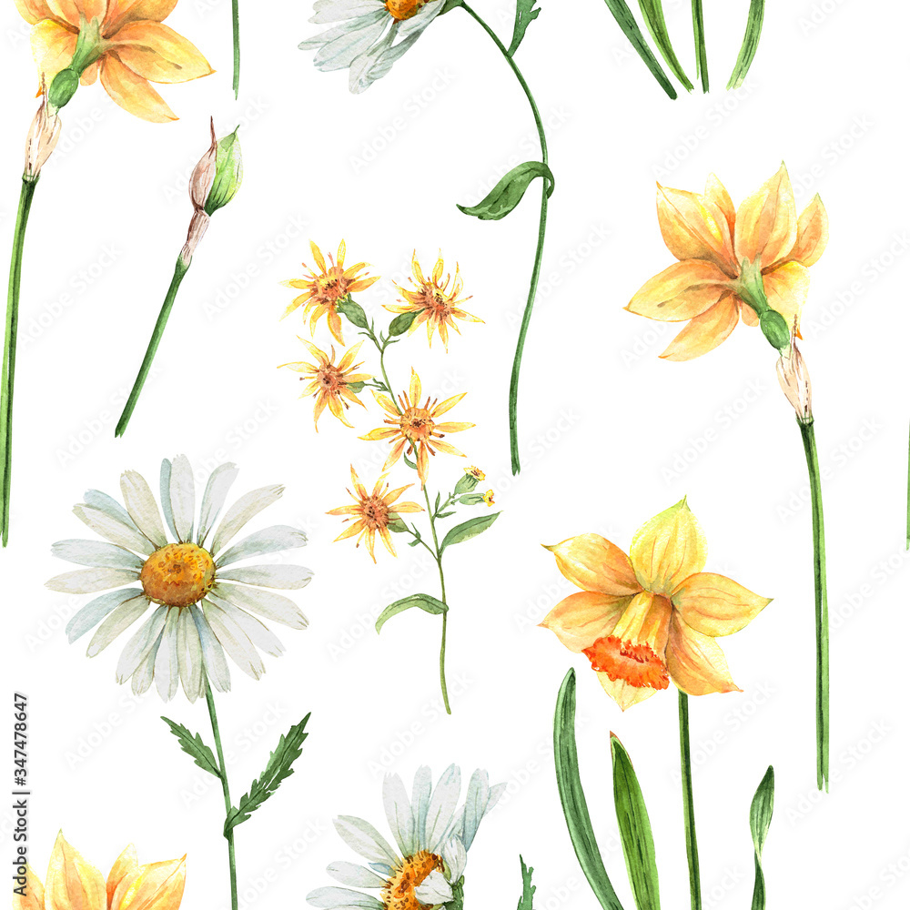 delicate pattern with spring meadow flowers on a white background, watercolor illustration delicate pattern with spring meadow flowers on a white background, watercolor illustration