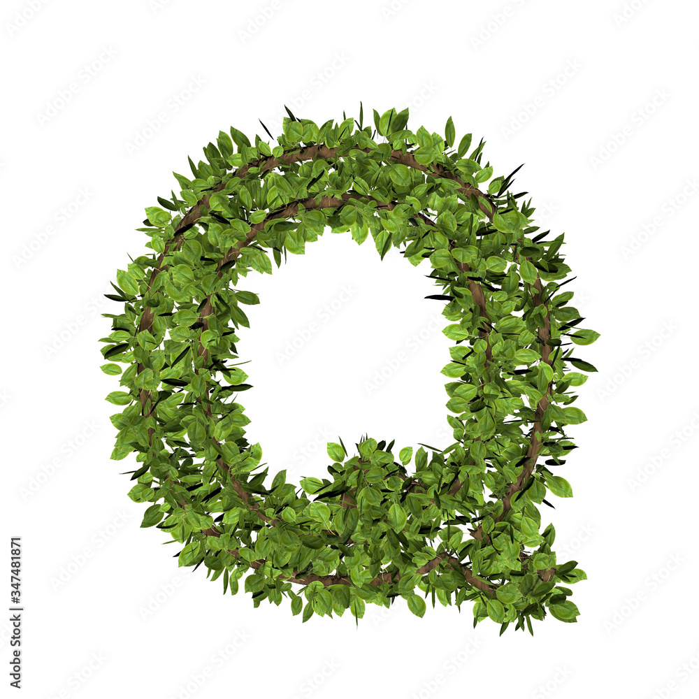Leaf style letter q. 3D render of grass font isolated on white background Leaf style letter q. 3D render of grass font isolated on white background
