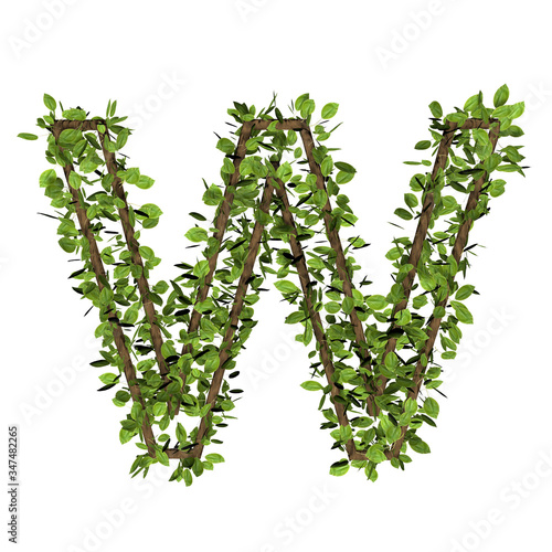 Leaf style letter w. 3D render of grass font isolated on white background
