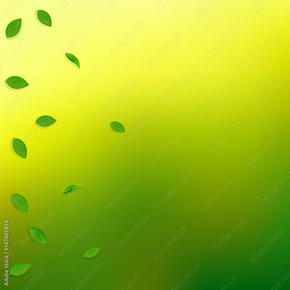 Falling green leaves. Fresh tea random leaves flyi Falling green leaves. Fresh tea random leaves flyi