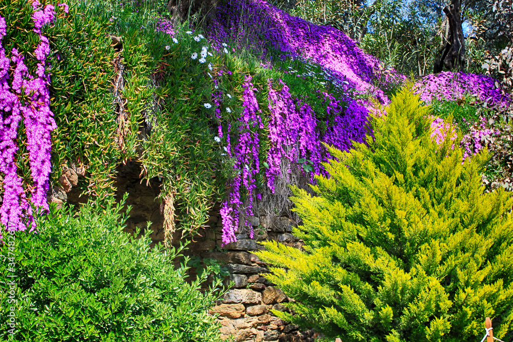 Obraz premium Beautiful hillside decorated with blooming trees near the House of the Virgin Mary (Meryemana), believed to be the last residence of Mary, mother of Jesus. Ephesus, Turkey. Spring