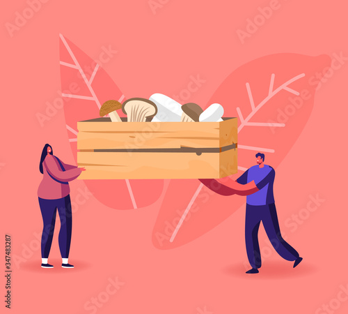 Tiny Male and Female Characters Carry Huge Wooden Box with Various Mushrooms Cep, King Oyster and Champignons. Homemade Fungiculture Growing Hobby, Harvesting. Cartoon People Vector Illustration