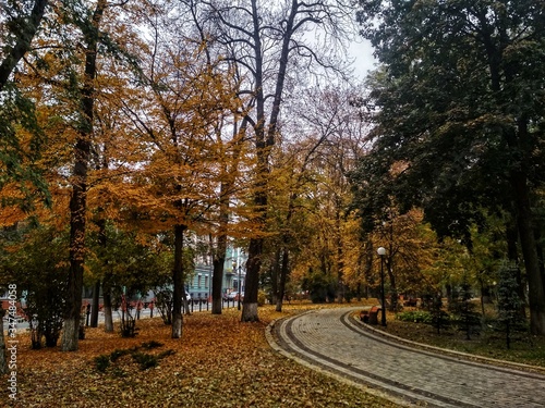 autumn in the park © Yana