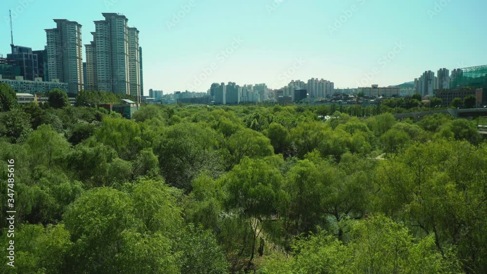 Shot of Seoul cityscape with Yeouido Saetgang Ecological Park, South Korea Shot of Seoul cityscape with Yeouido Saetgang Ecological Park, South Korea