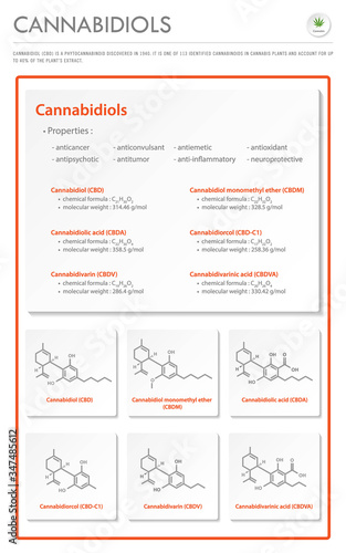 Cannabidiol CBD with Structural Formulas in Cannabis vertical business infographic illustration about cannabis as herbal alternative medicine and chemical therapy, healthcare and medical vector.