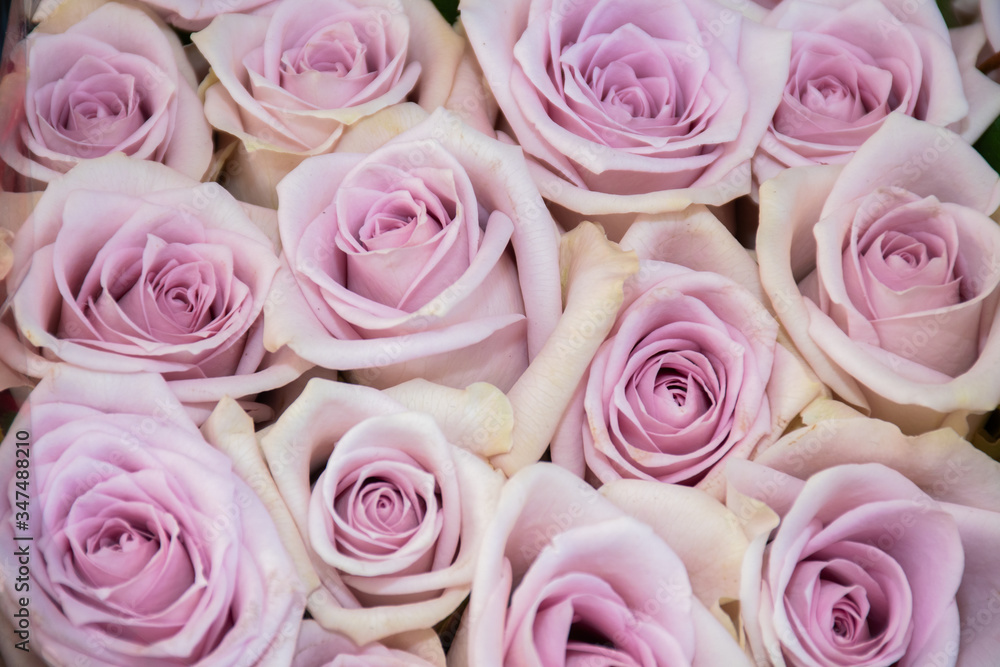 Flowers at the flower market, Bouquet ideal for Mother's Day, Woman's Day, Valentine's Day Flowers at the flower market, Bouquet ideal for Mother's Day, Woman's Day, Valentine's Day