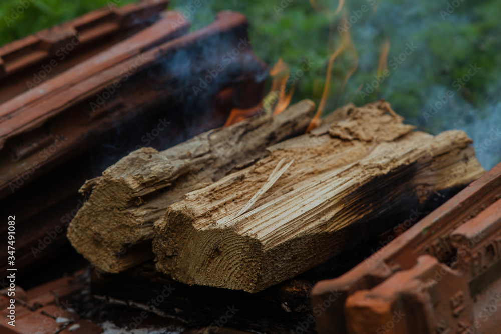 Fototapeta premium firewood burns in the fire