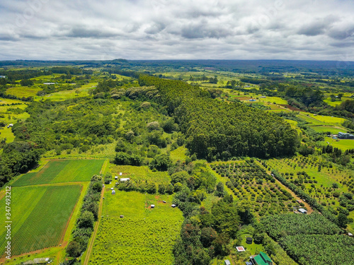 Wallpaper Mural Drone over Hilo, Hawaii Torontodigital.ca