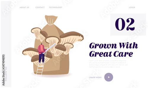 Homemade Fungiculture Landing Page Template. Tiny Male Character Stand on Ladder Prepare to Cut Ripe Mushroom Growing on Huge Sack. King Oyster Mushrooms Growing Up in Bag. Cartoon Vector Illustration