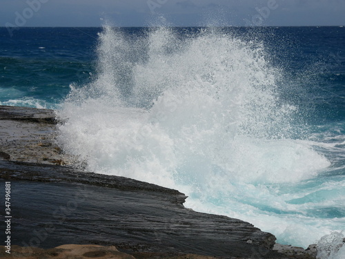 Ocean Spray Oahu, Hawai'i
