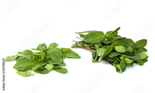 Fresh green leaf of mint isolated on white background. Close-up