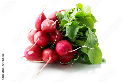 Bunch of radishes