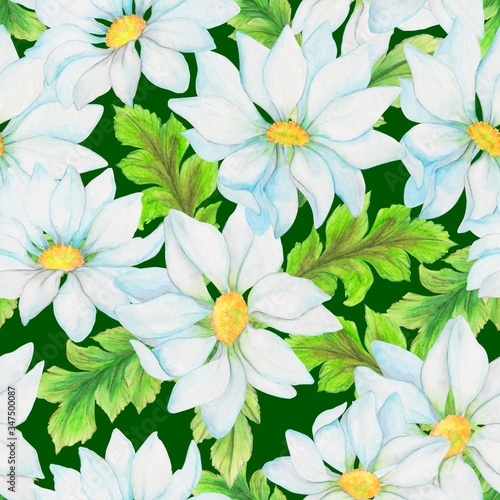 watercolor illustration  seamless pattern  large flowers in white and blue  leaves  ornament for wallpaper or fabric  wrapping paper  background for design