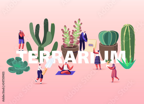Growing Plants in Terrarium Concept. Tiny Male and Female Characters Grow Cacti and Succulents in Pots at Home, Gardening, Planting Hobby Poster Banner Flyer. Cartoon People Vector Illustration