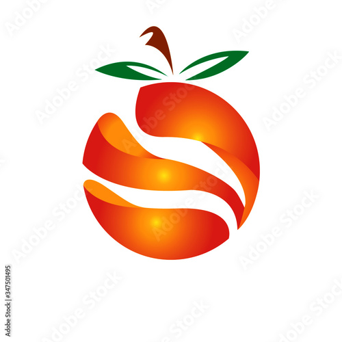 vector illustration of an orange