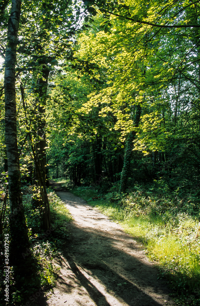 Sentier de découverte, Maincourt, Parc naturel régional de la Haute vallée de Chevreuse, 78, Yvelines
