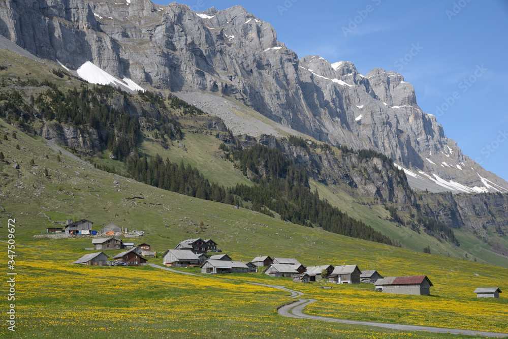 village de montagne au milieu d'une prairie fleurie - Suisse