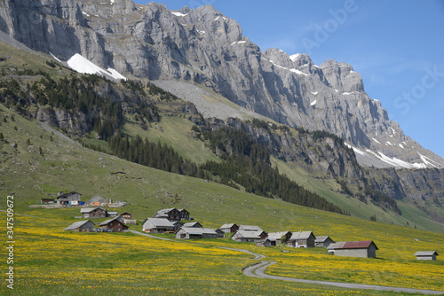 village de montagne au milieu d'une prairie fleurie - Suisse