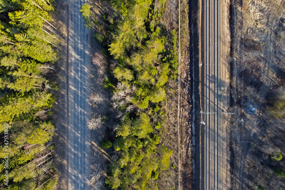 Rail and road separated the forest from the trees Rail and road separated the forest from the trees