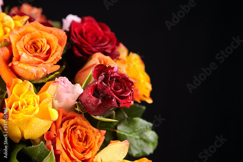 Bouquet of different color roses with water drops on petals on a black background. Red  orange and pink flowers. Romantic Valentine s Day Gift