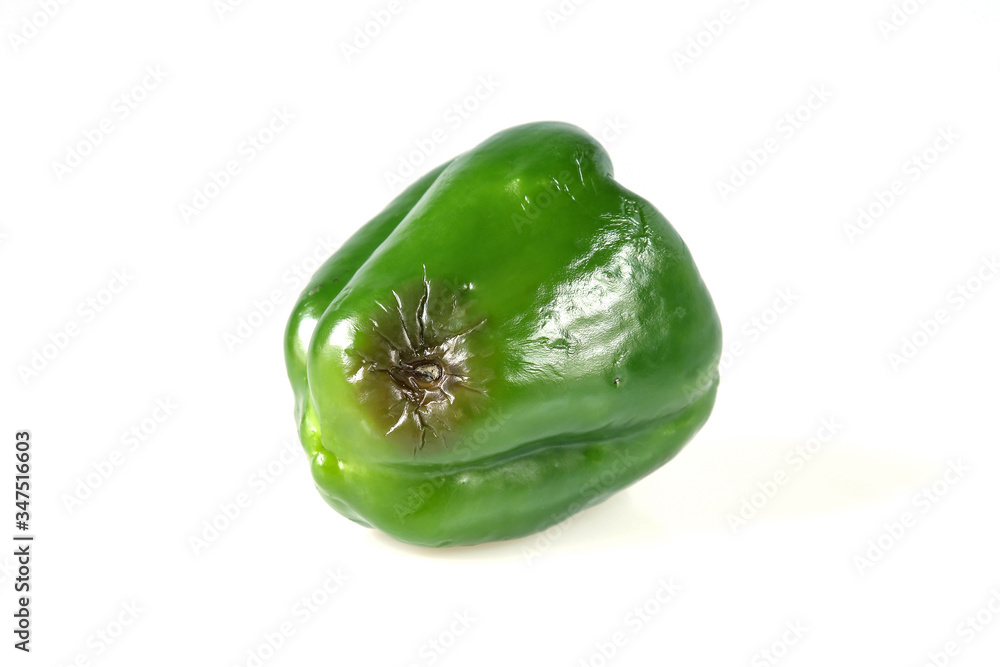 Green rotten pepper isolated on white Green rotten pepper isolated on white