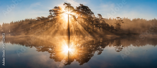 Photography Stunning sunrise through trees and reflected on still lake