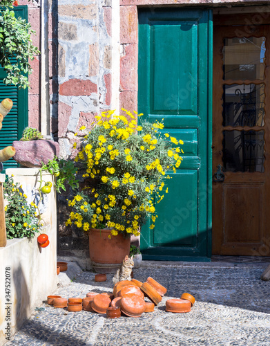 Cat  stitting in the sun on terracotta in front of a green door, into Pyrgos village, Santorini island, Cyclades, Greece photo