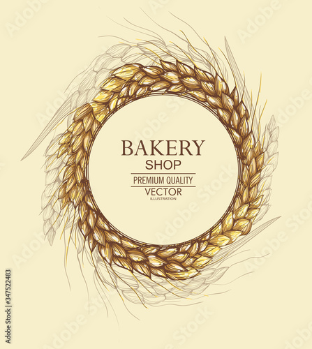 Vector hand drawn wheat ears. Farm field illustration. For packing.Bunch of grain barley.Banner design. Barley illustration in vintage style.Wheat grain,granule, kernel,corn,rye,barley,oats,pic.