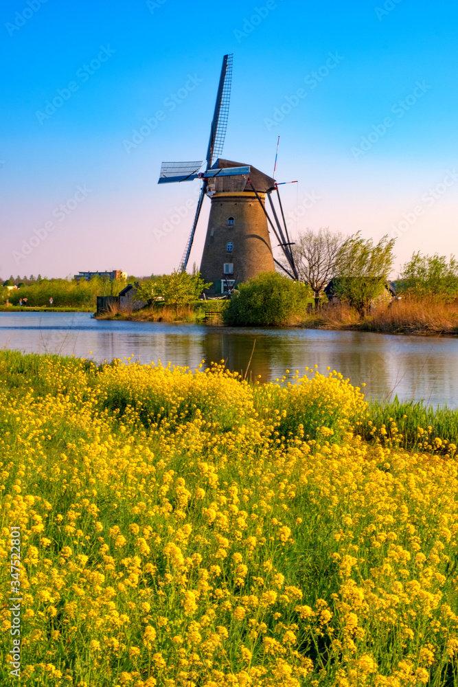 windmills in holland on a sunny day - obrazy, fototapety, plakaty 