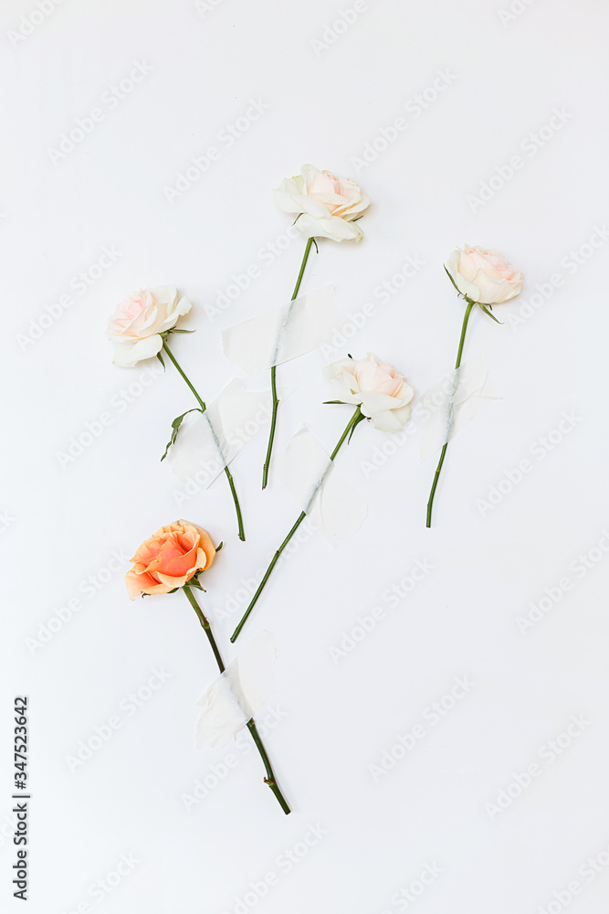 Obraz premium Pink and white roses are glued with tape on the wall. Flower concept.