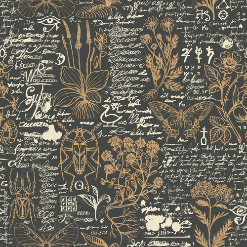 Vector seamless pattern with insects and medicinal herbs in retro style. Hand-drawn herbs, beetles, butterflies and unreadable scribbles on the black background. Wallpaper, wrapping paper, fabric