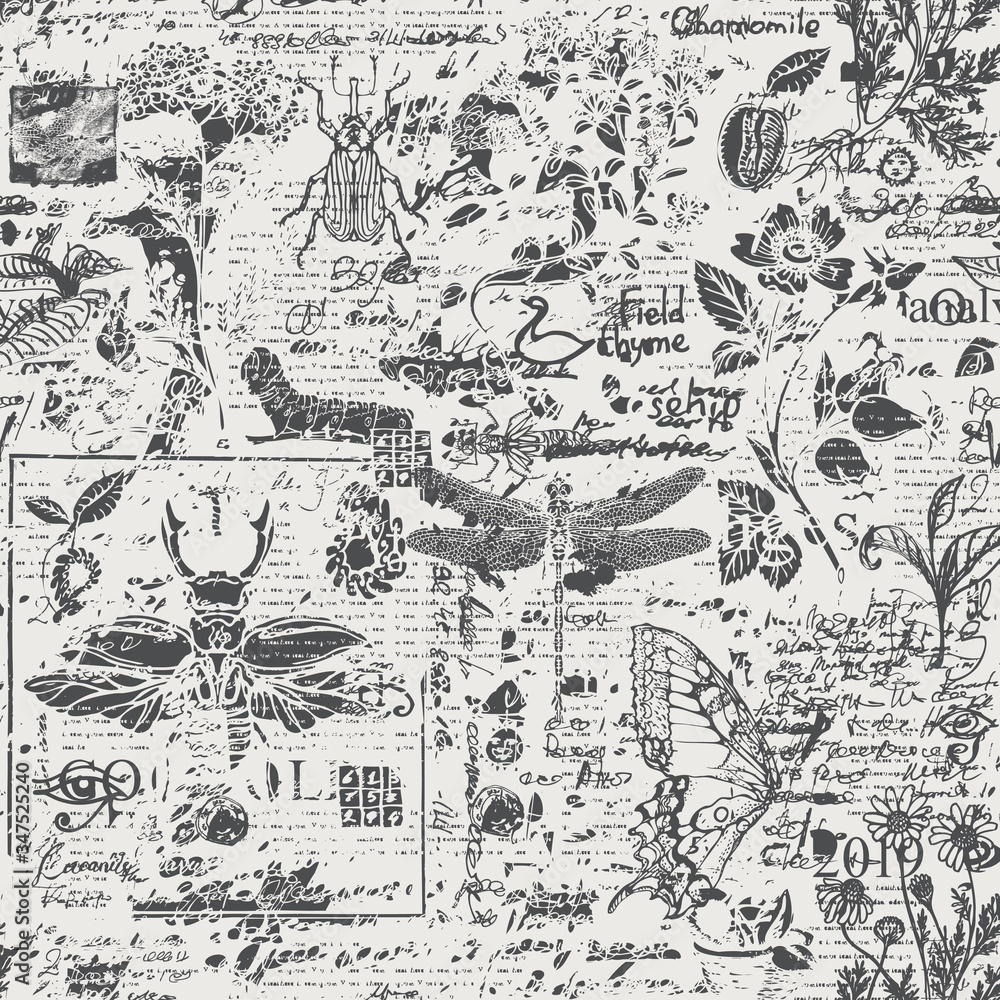 Vector seamless pattern with insects and herbs in retro style. Abstract black and white background with illegible scribbles and sketches on an old newspaper backdrop. Wallpaper, wrapping paper, fabric