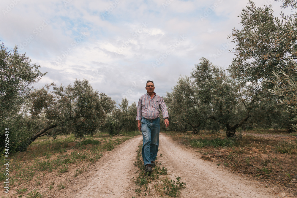 Man walking down the path.