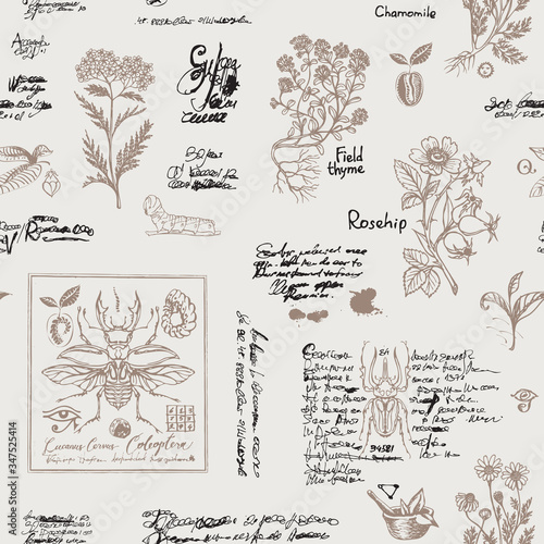 Vector seamless pattern with plants and insects in retro style. Hand-drawn beetles, medicinal herbs and unreadable scribbles on a light background. Suitable for Wallpaper, wrapping paper, fabric