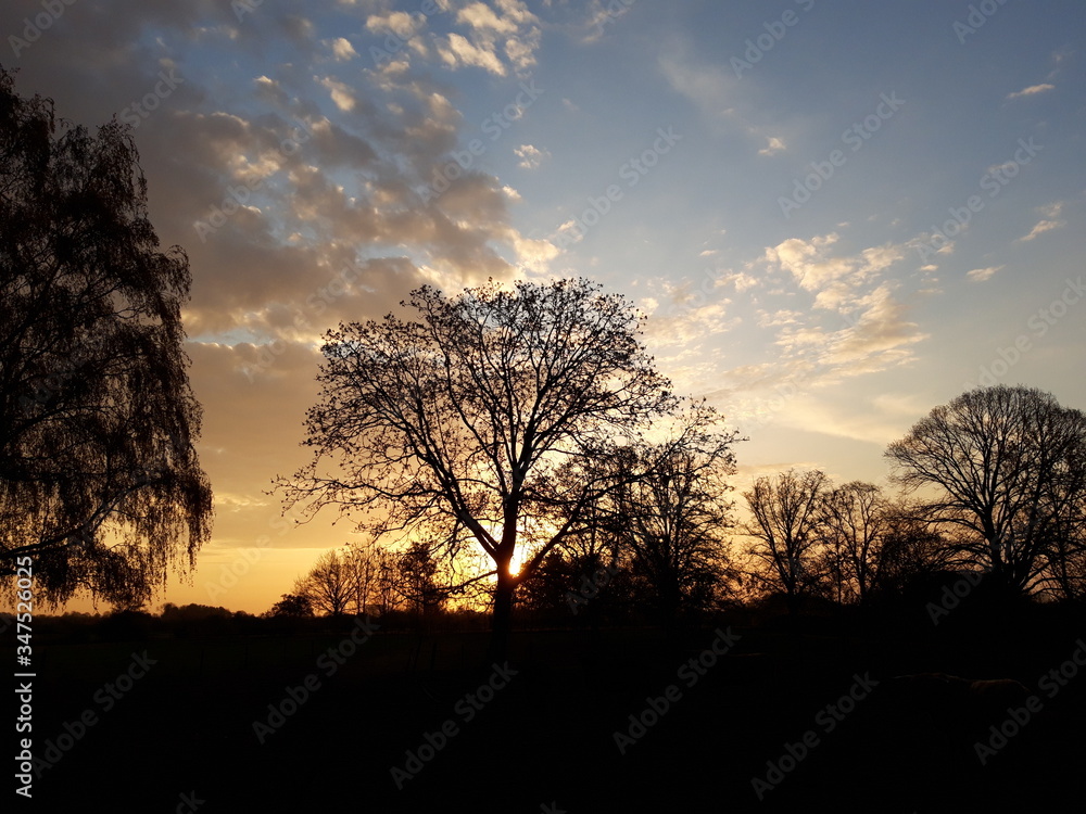 Morgenstimmung Morgenstimmung