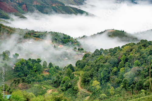 Ta Xua is a famous mountain range in northern Vietnam. All year round, the mountain rises above the clouds creating cloud inversions. photo