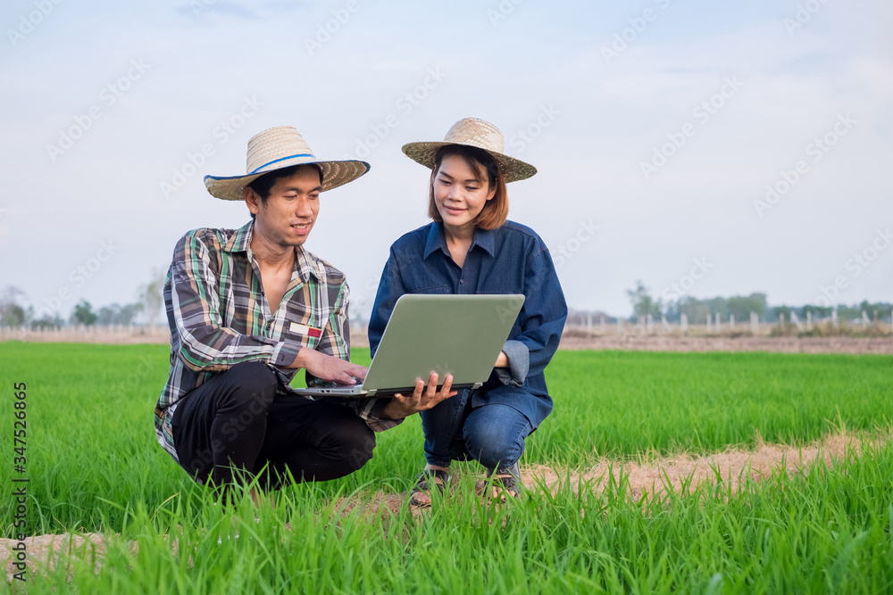 Asian farmer man and woman couple wear hat using laptop computer at green rice field Asian farmer man and woman couple wear hat using laptop computer at green rice field
