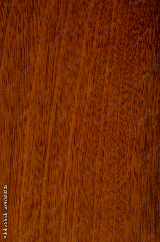 Naklejka premium Mahogany tree texture. Close-up.